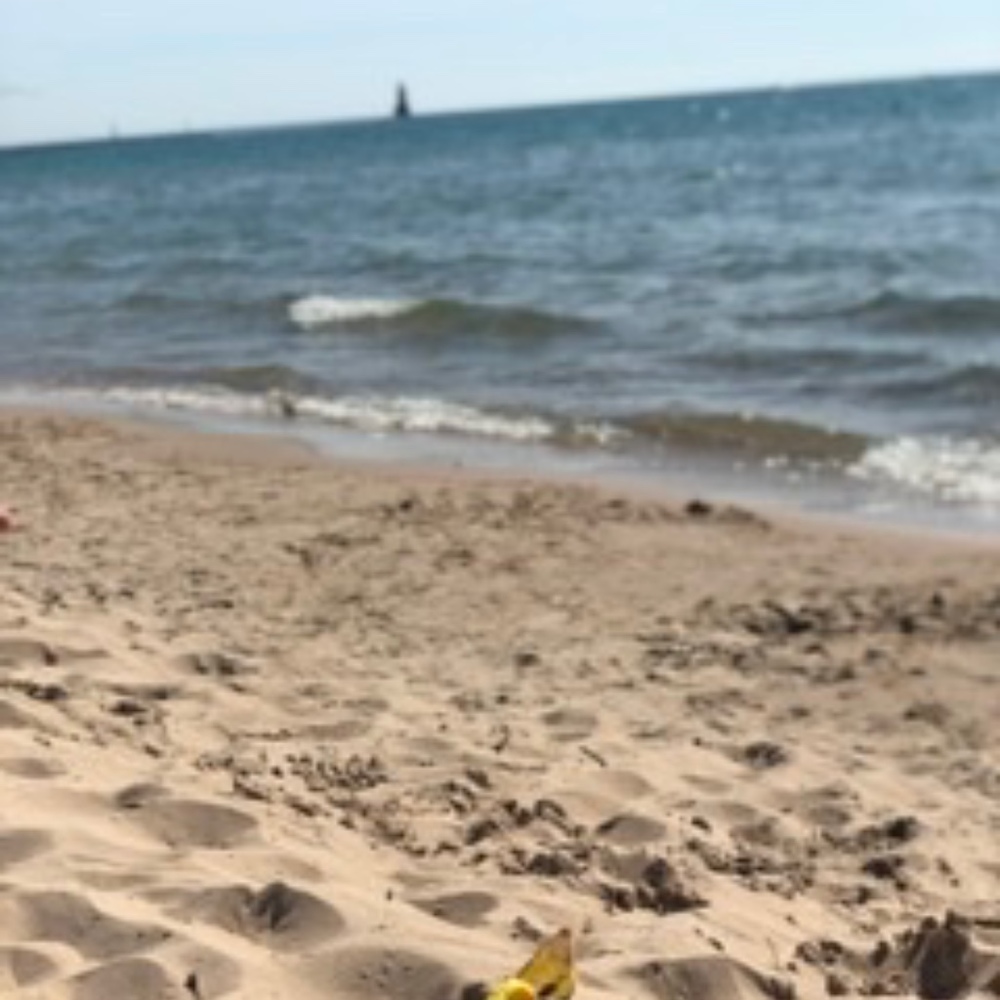 Meet your Posher, Tara